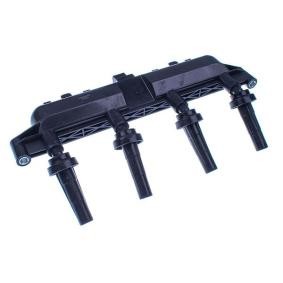 Zündspule E100027