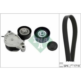 Keilrippenriemensatz 529 0516 10 für MINI