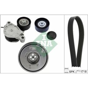 Keilrippenriemensatz 529 0516 20 für MINI