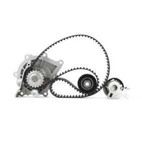 Achetez des Kit de distribution + pompe à eau de chez BGA en ligne pour PROACE Autobus/Autocar (MPY_) à prix modérés