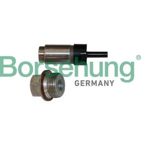 Steuerkettenspanner von Borsehung B1T023