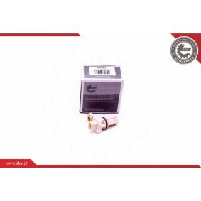 Kurbelwellensensor 17SKV528