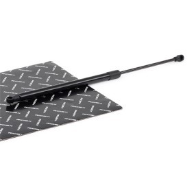 Köp Gasfjäder till baklucka av RIDEX 219G1050 till det låga priset 145,85 kr