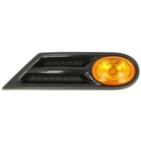 Blinker für MINI von OLSA