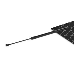 Compre Amortecedor da mala da RIDEX 219G1053 a um preço baixo por 14,67 €