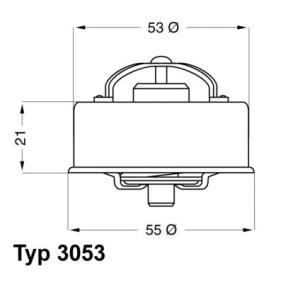 Achetez des Thermostat d'eau WAHLER 3053.85 à prix pour 24,55 €