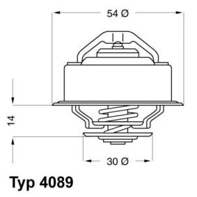 Achetez des Thermostat d'eau WAHLER 4089.87D à prix pour 19,80 €