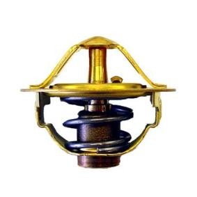 Achetez des Thermostat d'eau WAHLER 410352.82D à prix pour 14,47 €