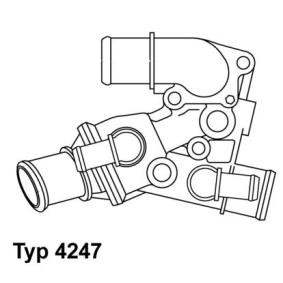 Achetez des Thermostat d'eau WAHLER 4247.80D à prix pour 97,63 €