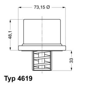 Kühlwasserthermostat 4619.82 für DAF