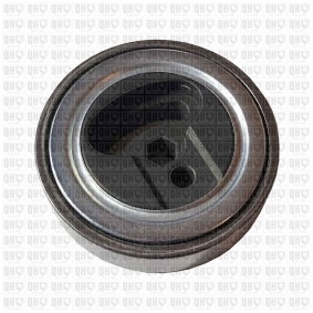 Compre Rolo tensor, correia trapezoidal estriada da QUINTON HAZELL QTA1658 a um preço baixo por 136,36 €