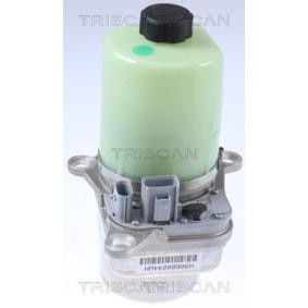Servopumpe von TRISCAN