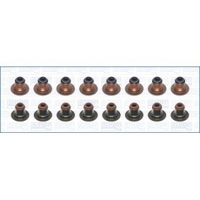 Dichtungssatz, Ventilschaft 57085100