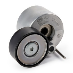 Comprar Tensor de correa poli V de INA 534 0728 10 a bajo precio de 51,47 €