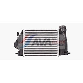 Osta Moottoriöljyn jäähdytin AVA COOLING SYSTEMS:llä MN3161 edullisesti hintaan 187,72 €