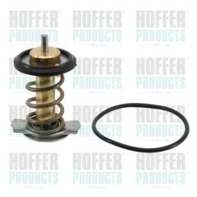Achetez des Thermostat d'eau HOFFER 8192957 à prix pour 46,49 €