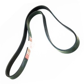 Achetez des Courroie Poly-V MASTER-SPORT 6PK1630-PCS-MS à prix pour 17,00 €