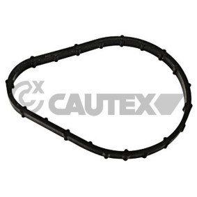 Achetez des Joint d'étanchéité, thermostat CAUTEX 769250 à prix pour 2,67 €