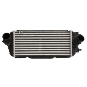 Köp Intercooler av THERMOTEC DA03005TT till det låga priset 1127,39 kr