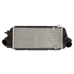 Köp Intercooler av THERMOTEC DA05009TT till det låga priset 1017,10 kr