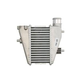 Köp Intercooler av THERMOTEC DA4001TT till det låga priset 1494,67 kr