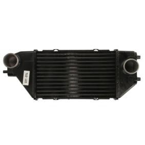 Köp Intercooler av THERMOTEC DA4002TT till det låga priset 1871,85 kr