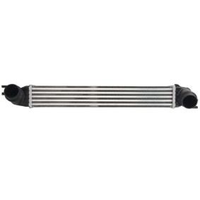 Köp Intercooler av THERMOTEC DAB022TT till det låga priset 1543,72 kr