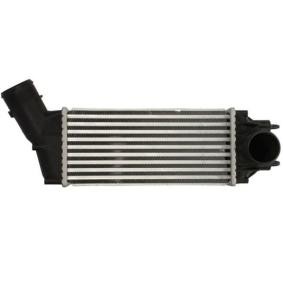 Ladeluftkühler von THERMOTEC für 307 (3A/C) günstig online kaufen