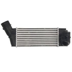 Köp Intercooler av THERMOTEC DAC018TT till det låga priset 1067,47 kr