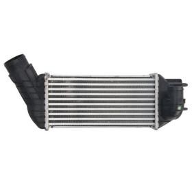 Köp Intercooler av THERMOTEC DAC019TT till det låga priset 2135,83 kr