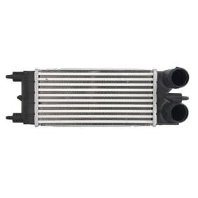 Köp Intercooler av THERMOTEC DAC020TT till det låga priset 1066,63 kr