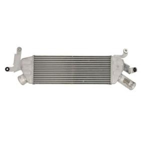 Köp Intercooler av THERMOTEC DAC022TT till det låga priset 2297,91 kr