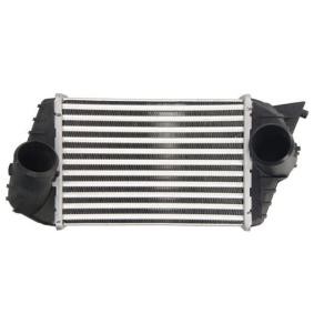 Ladeluftkühler von THERMOTEC für STILO Multi Wagon (192) günstig online kaufen