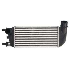 Köp Intercooler av THERMOTEC DAF010TT till det låga priset 926,79 kr