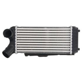 Köp Intercooler av THERMOTEC DAG024TT till det låga priset 961,47 kr