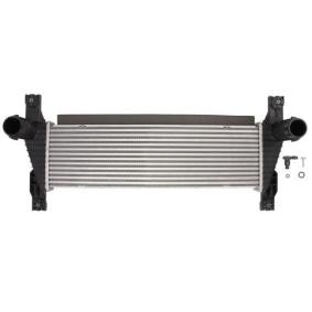 Köp Intercooler av THERMOTEC DAG026TT till det låga priset 2108,86 kr