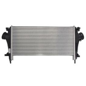 Comprar Intercooler de THERMOTEC DAX024TT a bajo precio de 95,95 €