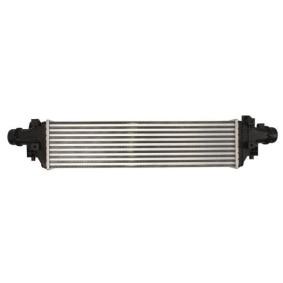 Köp Intercooler av THERMOTEC DAX030TT till det låga priset 1178,16 kr