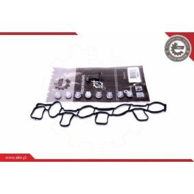 Reparatursatz, Saugrohrmodul von ESEN SKV 49SKV511