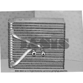 Verdampfer, Klimaanlage 820199N