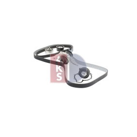 Achetez des Compresseur de climatisation AKS DASIS 850781N à prix pour 391,36 €