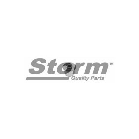 Lagerung, Lenker von STORM QUALITY PARTS