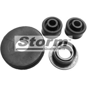 Osta STORM QUALITY PARTS Akselitiiviste, vaihteisto netistä TWINGO I (C06_)-mallille edulliseen hintaan