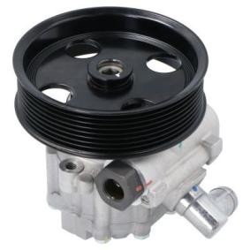 Servopumpe PW680149