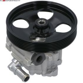 Köp Servopump av ENERGY PW680544 till det låga priset 1230,99 kr
