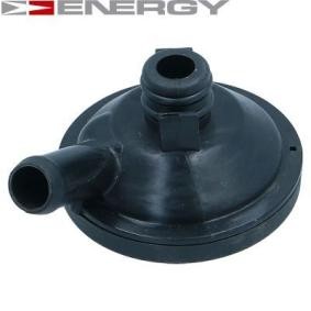 Kurbelgehäuseentlüftung von ENERGY für MEGANE II (BM0/1_, CM0/1_) günstig online kaufen