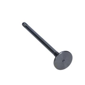 Compre Válvula de drenagem da AMP PCIT081-A-0-N a um preço baixo por 14,84 €