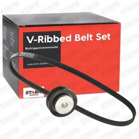 Keilrippenriemensatz SKRBS-1200793 FIAT SEDICI von STARK