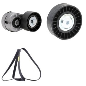 Achetez des Jeu de courroies trapézoïdales à nervures RIDEX 542R0802 à prix pour 64,57 €