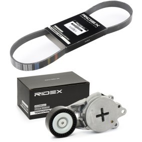 Achetez des Kit de courroie d'accessoire de chez RIDEX en ligne pour Urban Cruiser (_P1_) à prix modérés